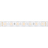 Светодиодная лента герметичная Arlight 21W/m 42LED/m 2835SMD теплый белый 5М FLT-PS-A42-23mm 24V 040918