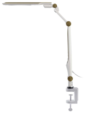 Настольная лампа ЭРА NLED-496-12W-G Б0052769