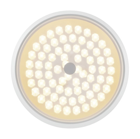 Потолочный светодиодный светильник Freya Cells FR10012CL-L24W
