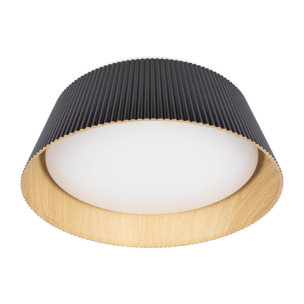 Потолочный светодиодный светильник Loft IT Evans 10224 Black Потолочный светодиодный светильник Loft IT Evans 10224 Black
