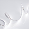 Светодиодная лента Arlight 9,6W/m 120LED/m 2835SMD холодный белый 5M 010347(2)