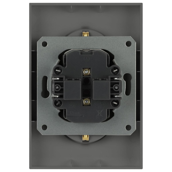 Розетка ЭРА Arktik 16-2107-06 без заземления двойная 2X2P 16А-250В графит Б0071686