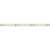 Светодиодная лента Arlight 9,6W/m 120LED/m 2835SMD холодный белый 5M 010347(2)