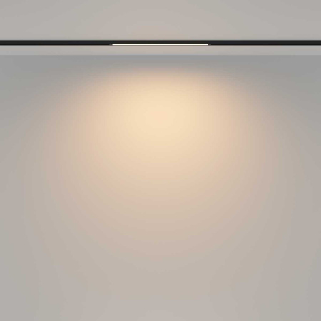 Трековый светильник Maytoni Technical TR173-1-8WTW-B