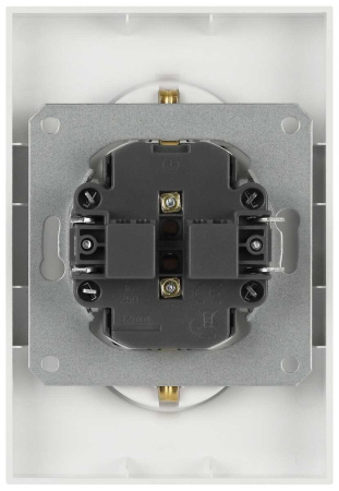 Розетка ЭРА Galaxy 15-2104-01 с заземлением двойная 2X2P+E Schuko 16А-250В IP20 белый Б0070678