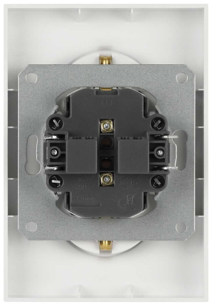 Розетка ЭРА Galaxy 15-2104-01 с заземлением двойная 2X2P+E Schuko 16А-250В IP20 белый Б0070678