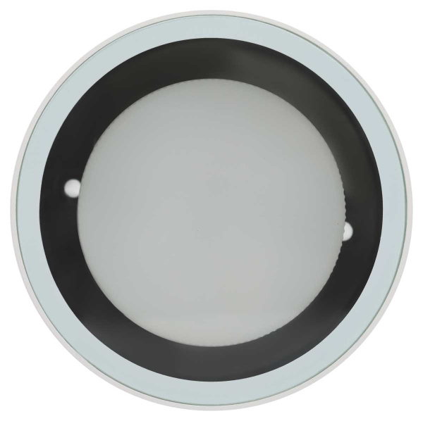 Уличный настенно-потолочный светильник ЭРА WL40 WH Б0054415