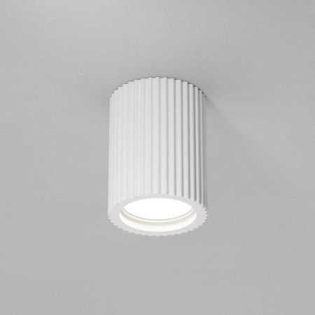 Потолочный светильник Maytoni Technical C121CL-GU10-W