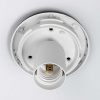 Светильник потолочный Citilux RON CL941D25B5