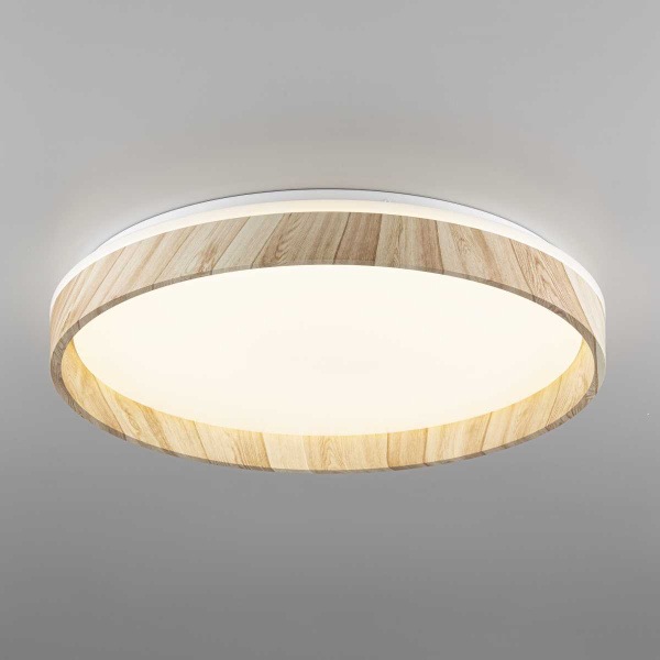 Потолочный светодиодный светильник Citilux Enzo CL753452G