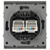 Розетка ЭРА Arktik 16-3108-06 информационная двойная 2XRJ45 графит Б0070489