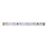 Светодиодная лента SWG 4,8W/m 60LED/m 2835SMD холодный белый 5M 005270