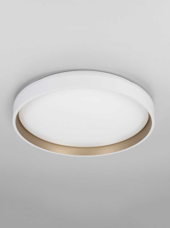 Светильник потолочный Citilux ENZO CL753450G