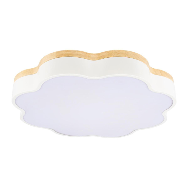 Потолочный светодиодный светильник Loft IT Axel 10225/36 White Потолочный светодиодный светильник Loft IT Axel 10225/36 White