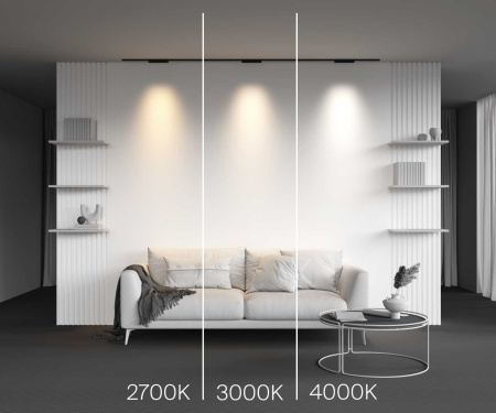 Трековый светильник Maytoni Technical Points TR193-1-10W2.7K-M-B