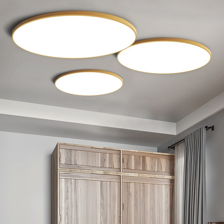Потолочный светильник Imperium Loft SLIM01 178456-26