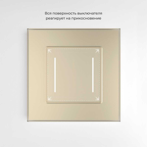 Сенсорный выключатель двухклавишный Werkel с подсветкой шампань W4523011 4690389197970