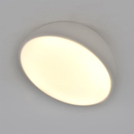 Потолочный светодиодный светильник Escada 20025SMA/01LED WH