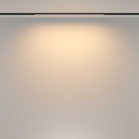 Трековый светильник Maytoni Technical TR173-1-16WTW-B