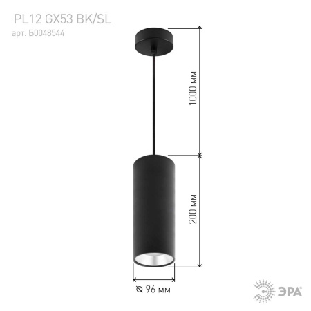 Подвесной светильник ЭРА PL12 GX53 BK/SL Б0048544