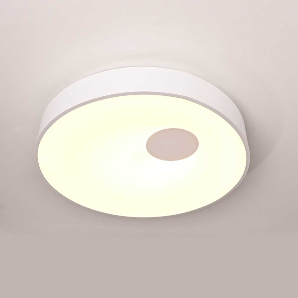 Потолочный светодиодный светильник Imperium Loft Ecla 101547-26