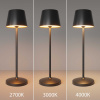 Настольная аккумуляторная лампа Maytoni Modern Nook MOD494RL-L1BK
