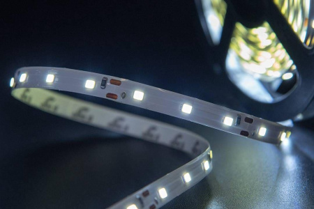 Светодиодная лента SWG 4,8W/m 60LED/m 2835SMD холодный белый 5M 001693