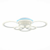 Потолочная светодиодная люстра Evoluce Cerina SLE500552-06RGB