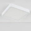 Потолочный светодиодный светильник Elektrostandard DLS034 18W 4200K a043017