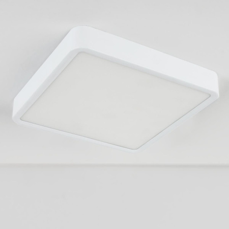 Потолочный светодиодный светильник Elektrostandard DLS034 18W 4200K a043017
