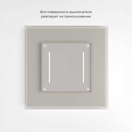 Умный сенсорный выключатель двухклавишный (дымчатый) W4523641/ a069765