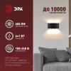 Уличный настенный светильник ЭРА Pictor WL57-6 BK Б0064529