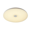 Потолочный светодиодный светильник Sonex Vasta led Roki muzcolor 4629/DL