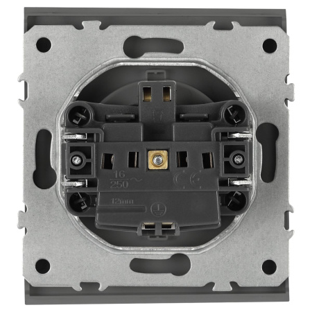 Розетка ЭРА Arktik 16-2102-06 с заземлением 2P+E Schuko со шторками 16А-250В графит Б0070429