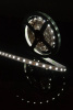 Светодиодная лента SWG 14,4W/m  60Led/m 5050SMD холодный белый 5M SWG560-12-14.4-UW-М 009263