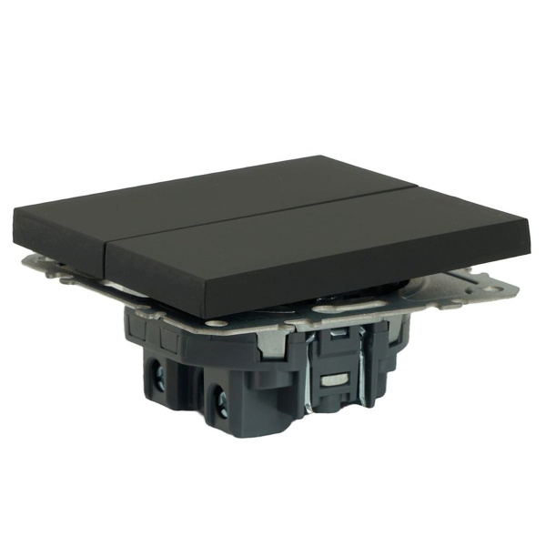 Выключатель двухклавишный Stekker Эмили черный уголь RSW10-5104-05 49840