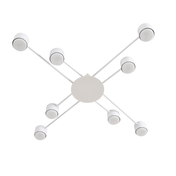 Светильник потолочный Lumion BENUA 8305/8C