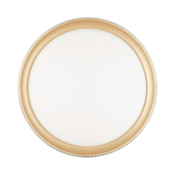 Настенно-потолочный светодиодный светильник Sonex Pale Shiny 3054/EL