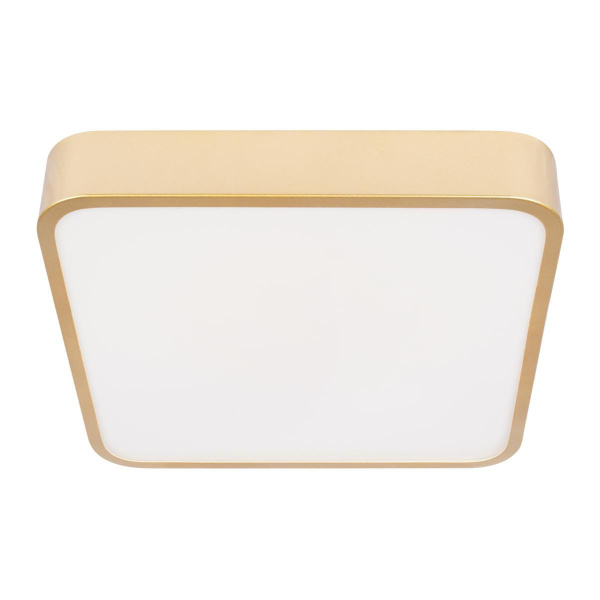 Потолочный светодиодный светильник Loft IT Flims 10228/C Потолочный светодиодный светильник Loft IT Flims 10228/C