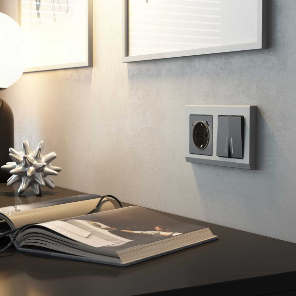 Розетка с заземлением, шторками и USBх2 Werkel графит W1171764 4690389194436