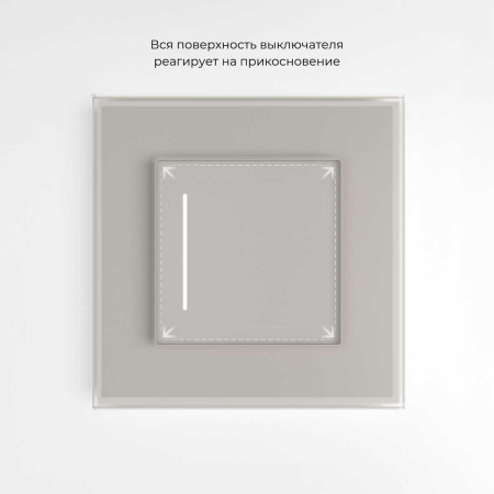 Умный сенсорный выключатель одноклавишный (дымчатый) W4513641/ a069764