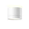 Потолочный светильник Maytoni Technical C120CL-GX53-W