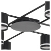 Потолочная люстра Lumion Berty Comfi 8362/8C