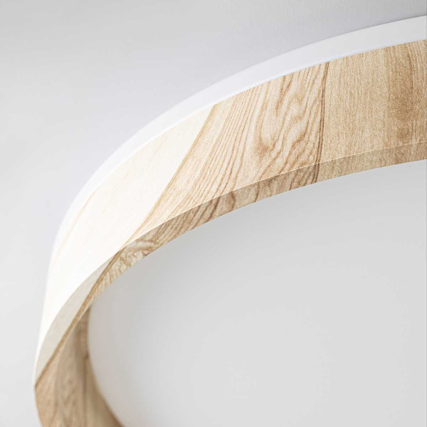 Потолочный светодиодный светильник Citilux Enzo CL753452G