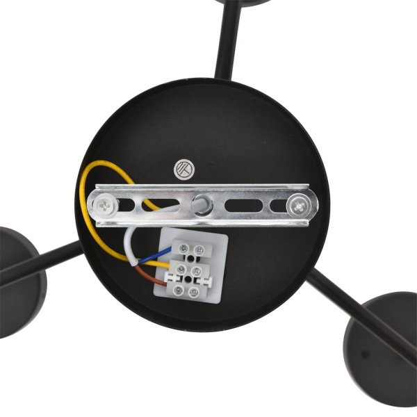 Люстра Lumion NATALINA 8349/6C