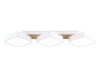 Светильник потолочный Ambrella light COMFORT FL4877