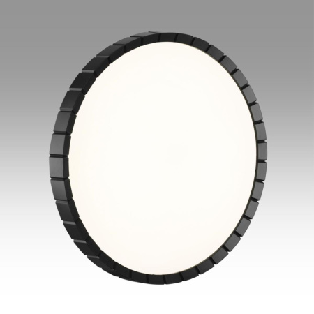 Настенно-потолочный светодиодный светильник Sonex Pale Atabi Black 7649/DLN