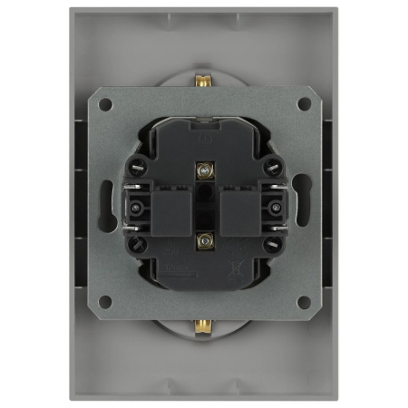 Розетка ЭРА Arktik 16-2107-03 без заземления двойная 2X2P 16А-250В алюминий Б0071683
