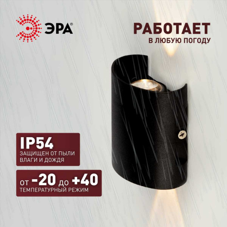 Уличный настенный светильник ЭРА Pictor WL57-2 BK Б0064544