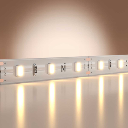 Светодиодная лента Maytoni Led Strip 5м 201162